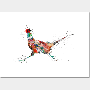 Pheasant, Posters and Art